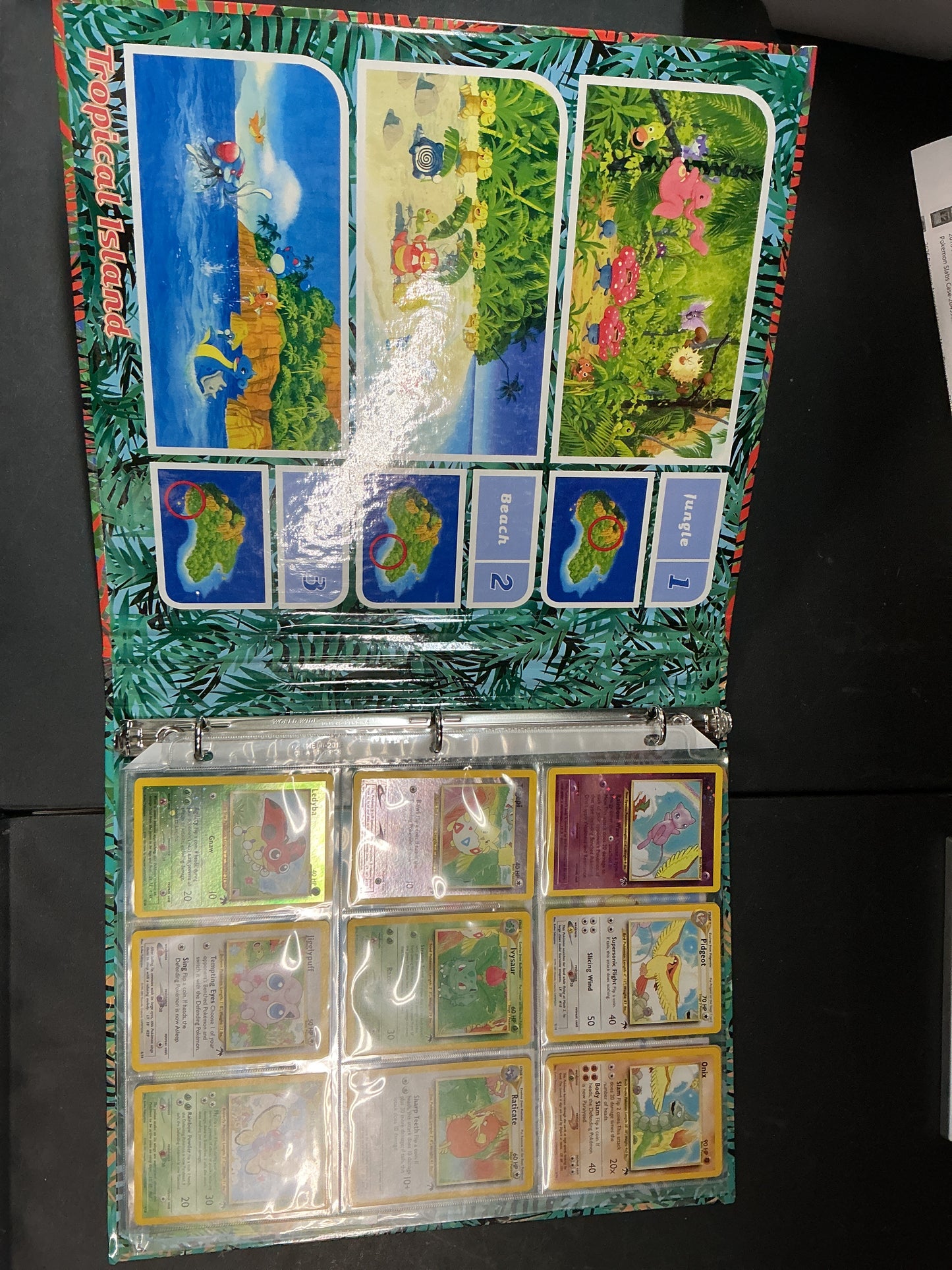 Southern Islands Collection (Open)