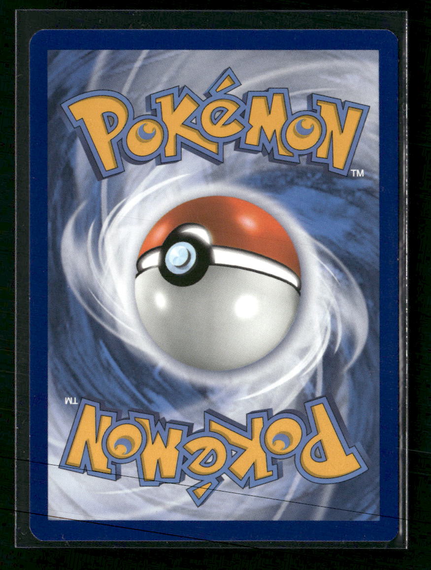 SWSH: Sword & Shield Promo Cards Lucario VSTAR #SWSH291