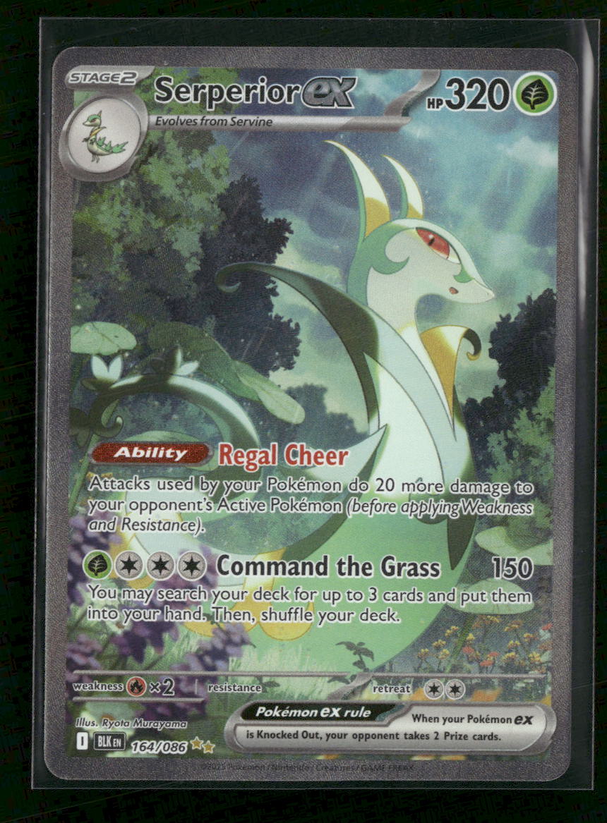 SV: Black Bolt Serperior ex #164/086