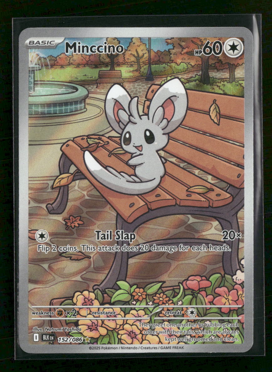 SV: Black Bolt Minccino #152/086