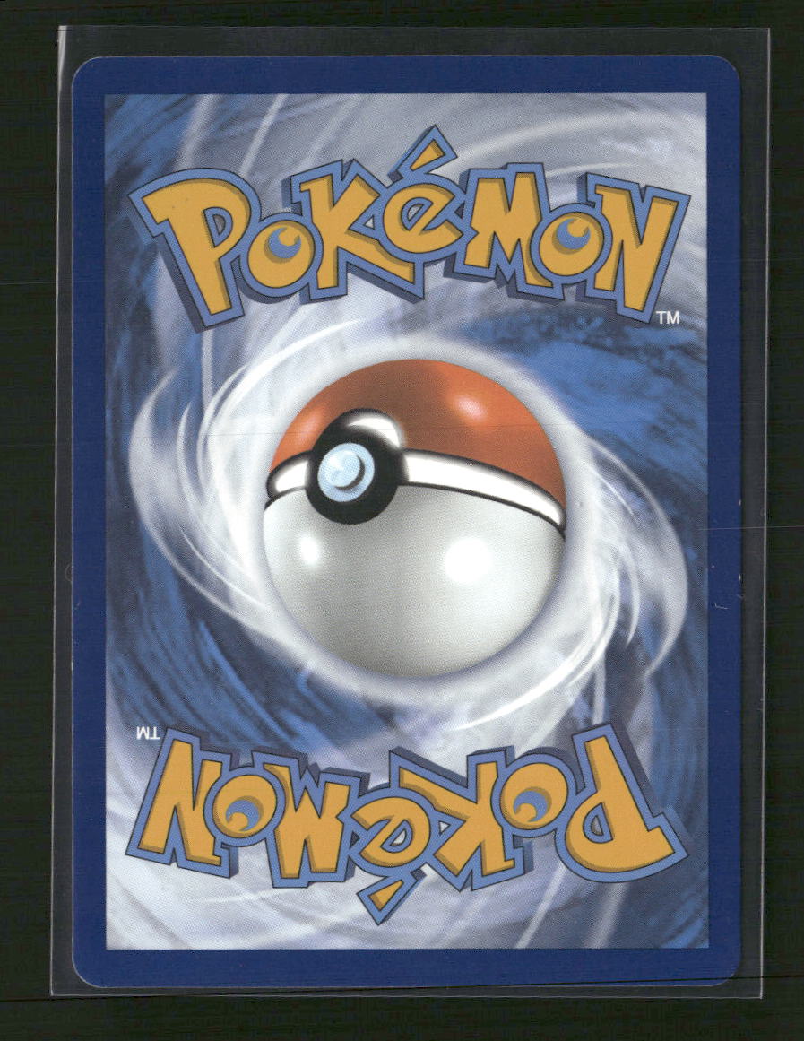 SWSH: Sword & Shield Promo Cards Lucario VSTAR #SWSH291