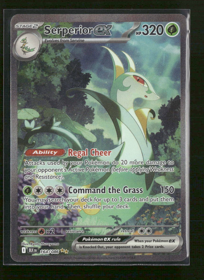 SV: Black Bolt Serperior ex #164/086