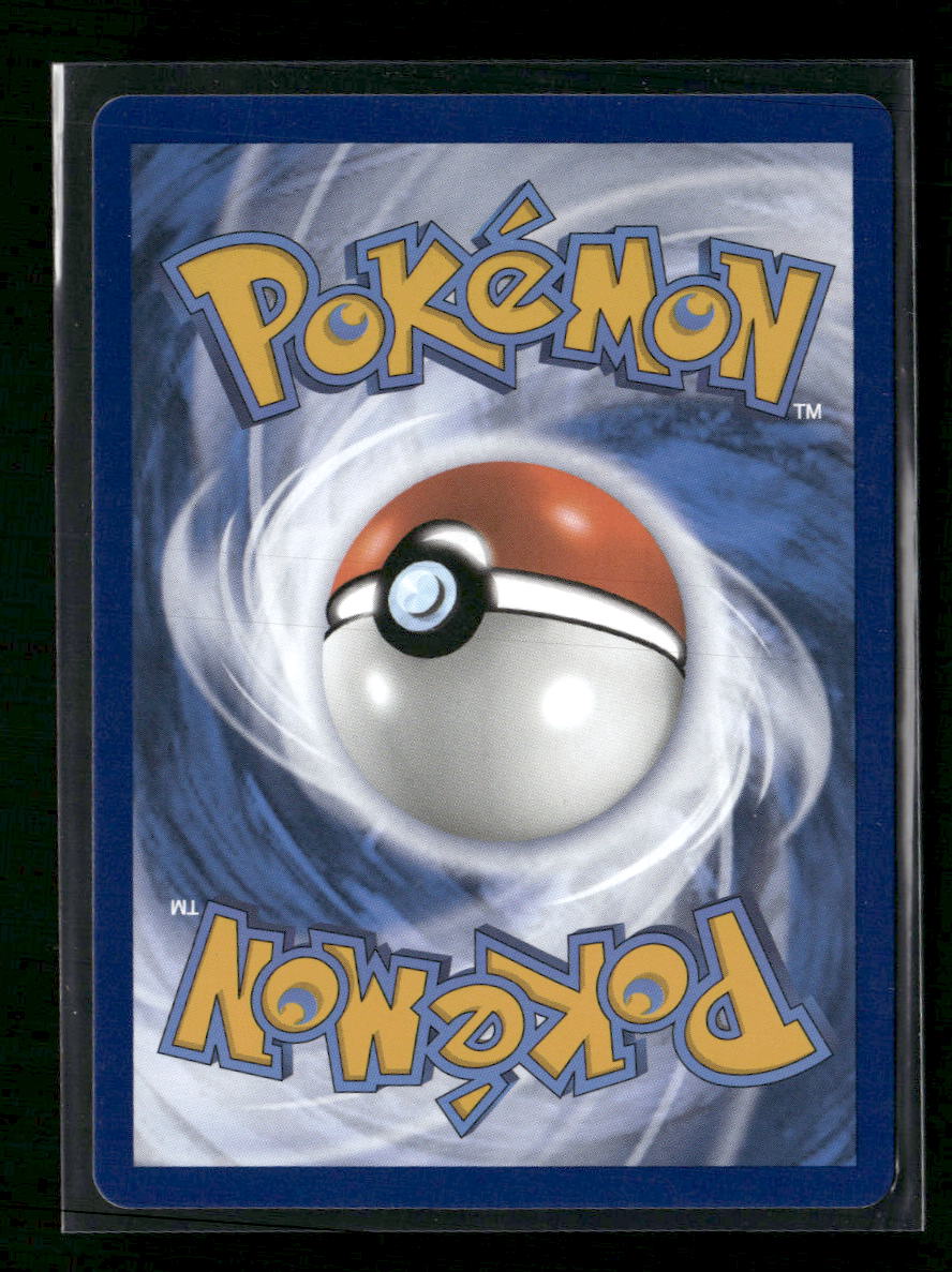 SWSH: Sword & Shield Promo Cards Lucario VSTAR #SWSH291