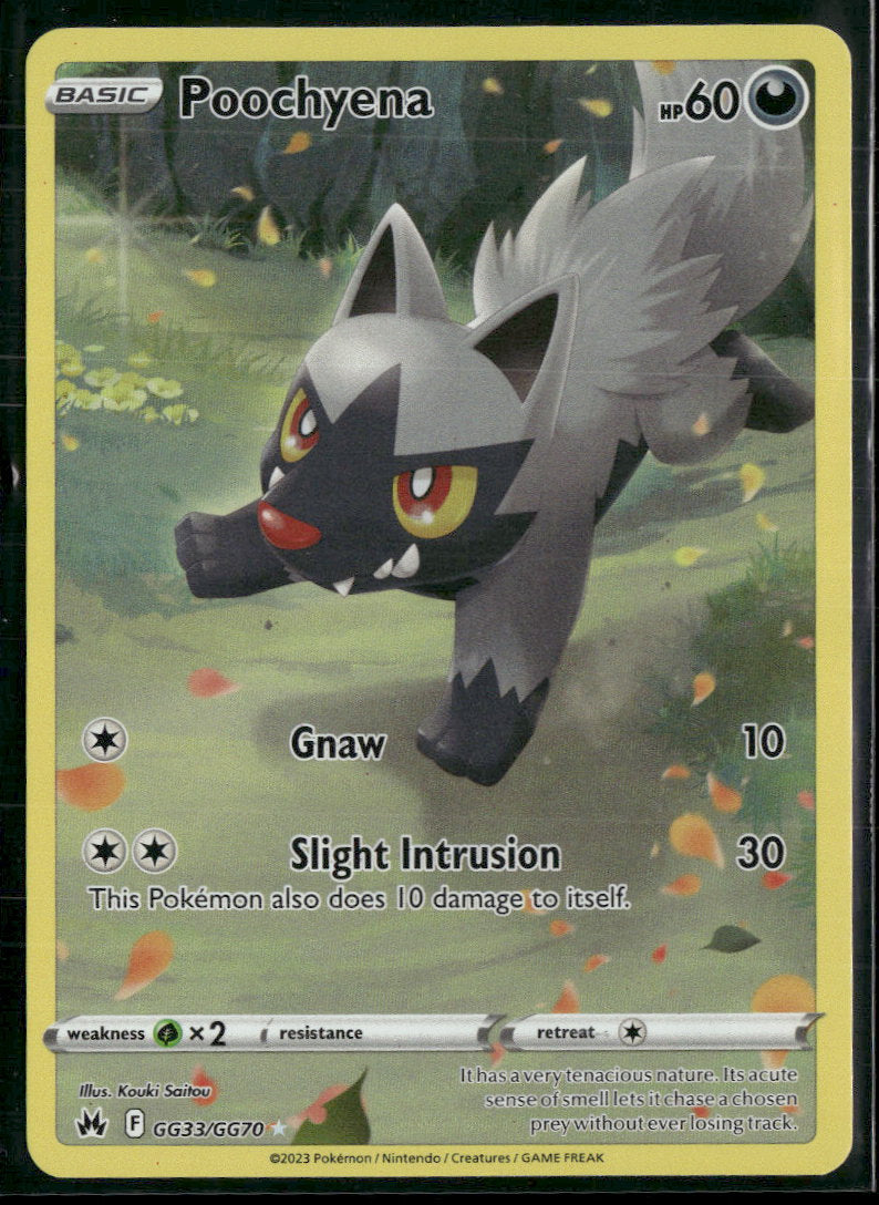SWSH: Crown Zenith: Galarian Gallery Poochyena #GG33/GG70
