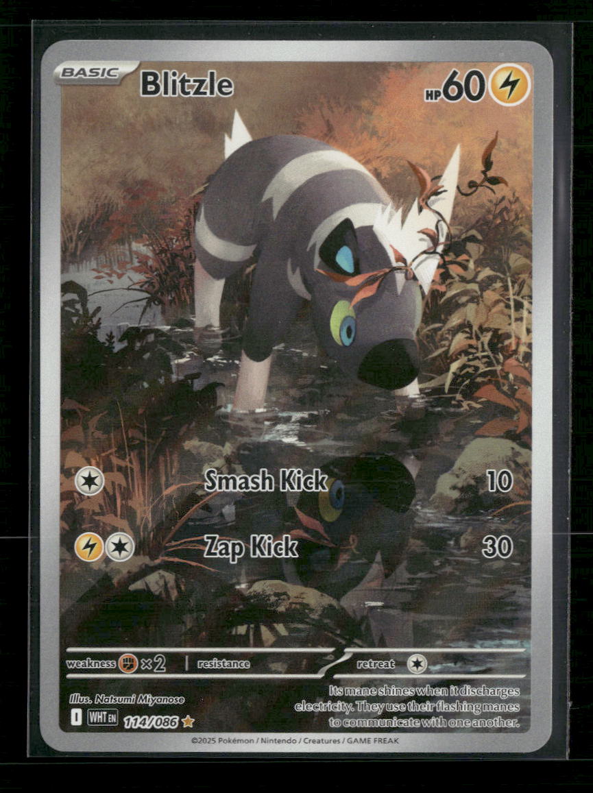 SV: White Flare Blitzle #114/086