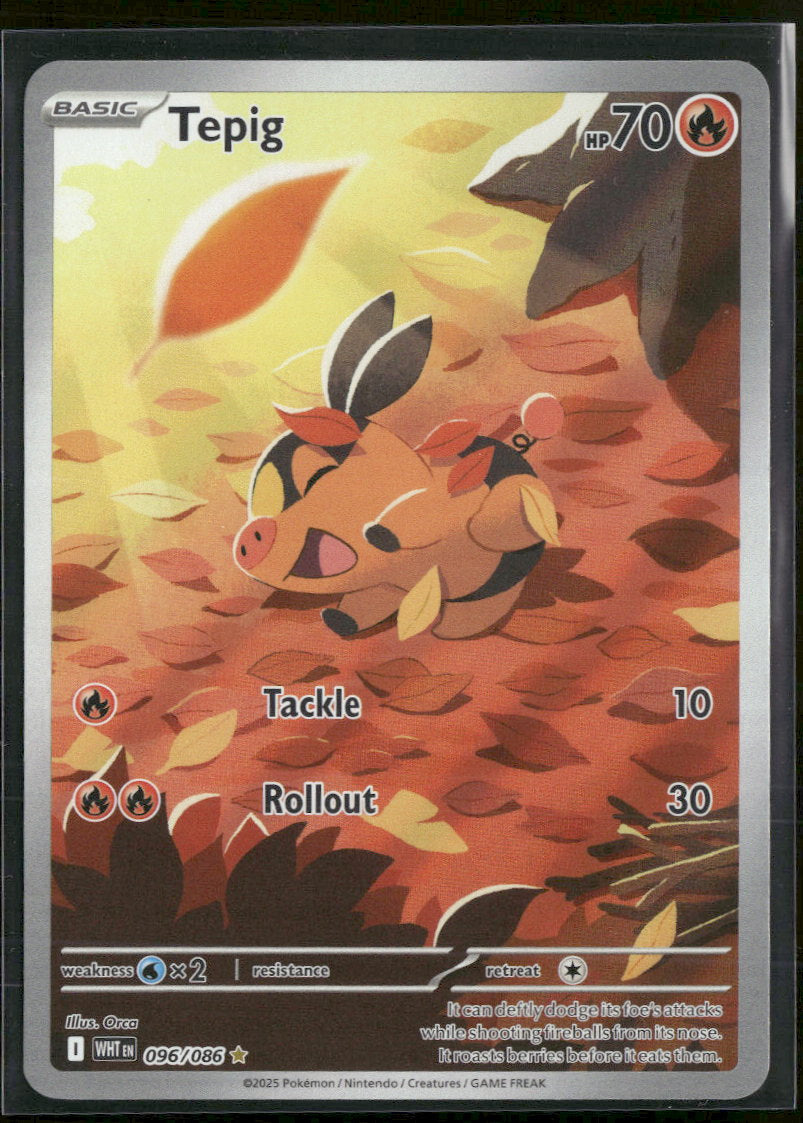 2025 Pokémon Scarlet & Violet - White Flare Tepig #96