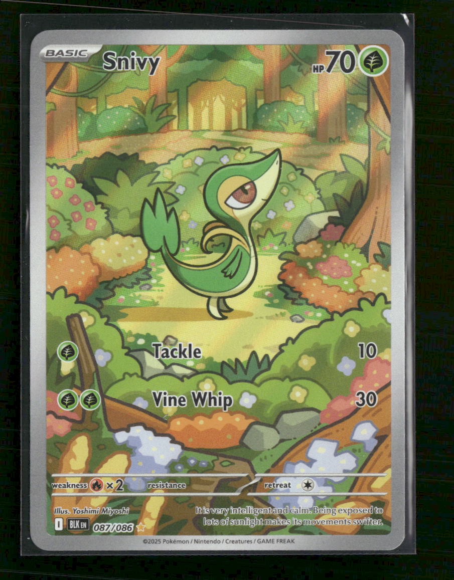 SV: Black Bolt Snivy #087/086