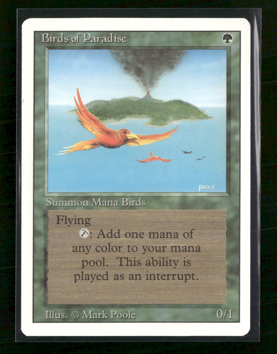 Revised Edition Birds of Paradise #