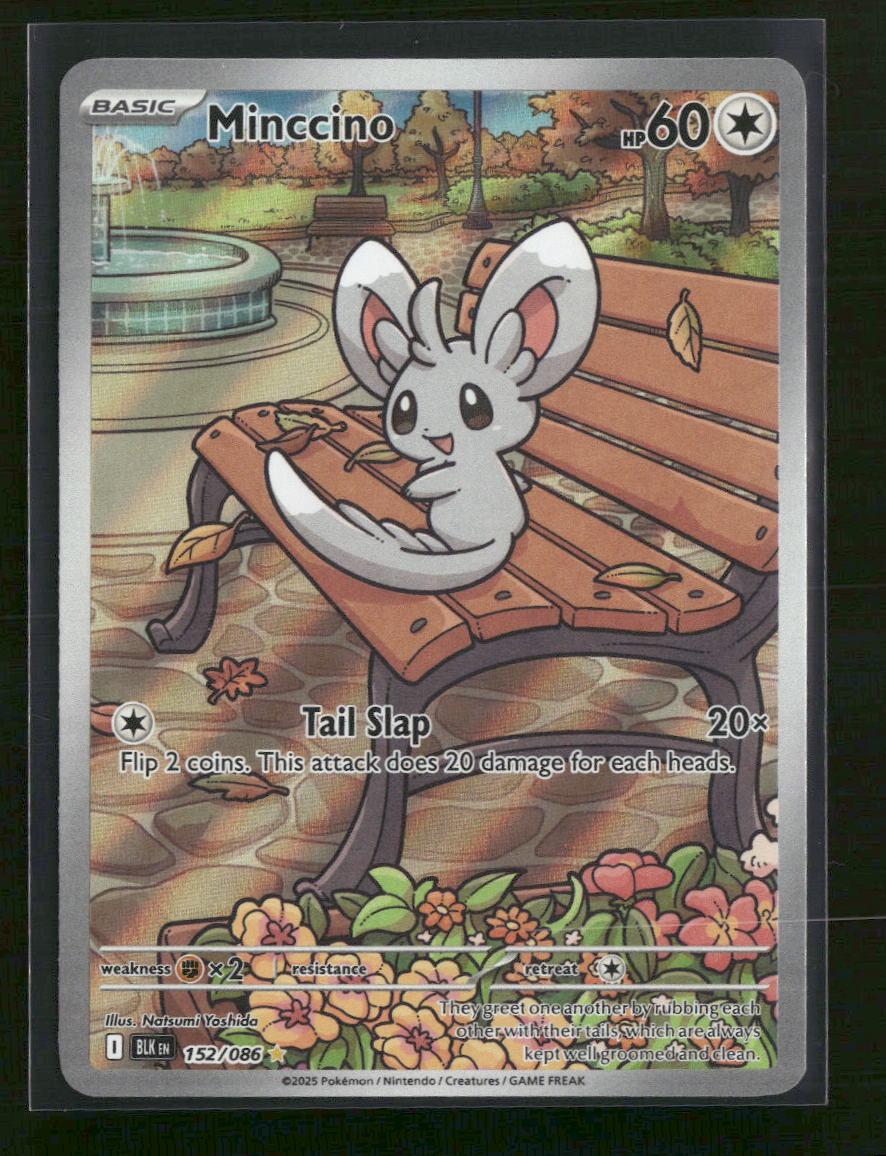 SV: Black Bolt Minccino #152/086
