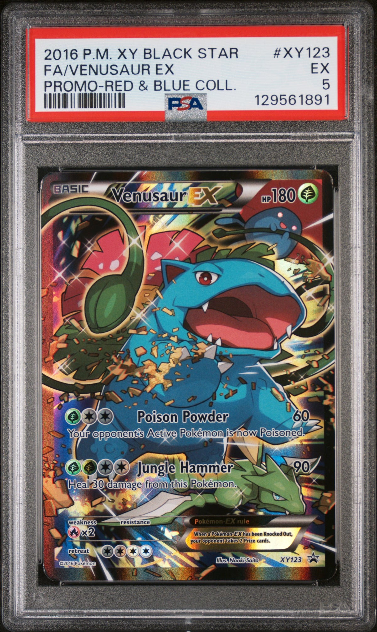 2016 Pokemon Xy Black Star Promo -Red & Blue Coll. Fa/Venusaur Ex 5 PSA #XY123