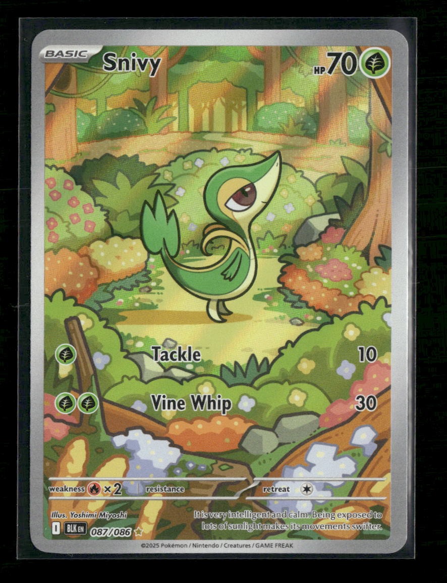 SV: Black Bolt Snivy #087/086