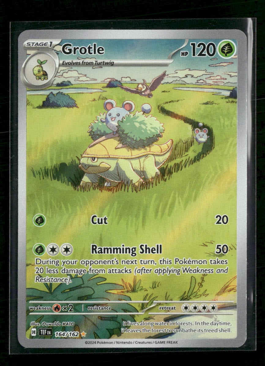 SV05: Temporal Forces Grotle #164/162