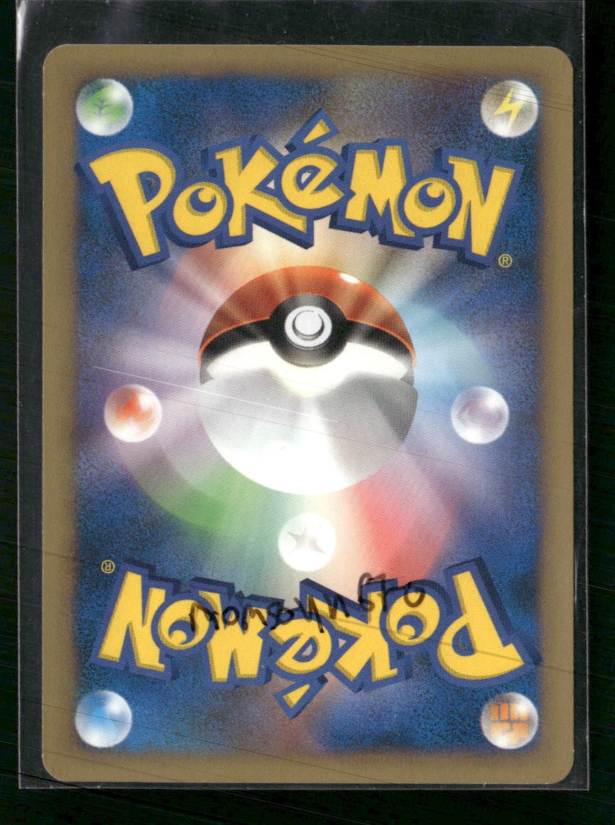Pokemon VS Chuck's Donphan #038/141