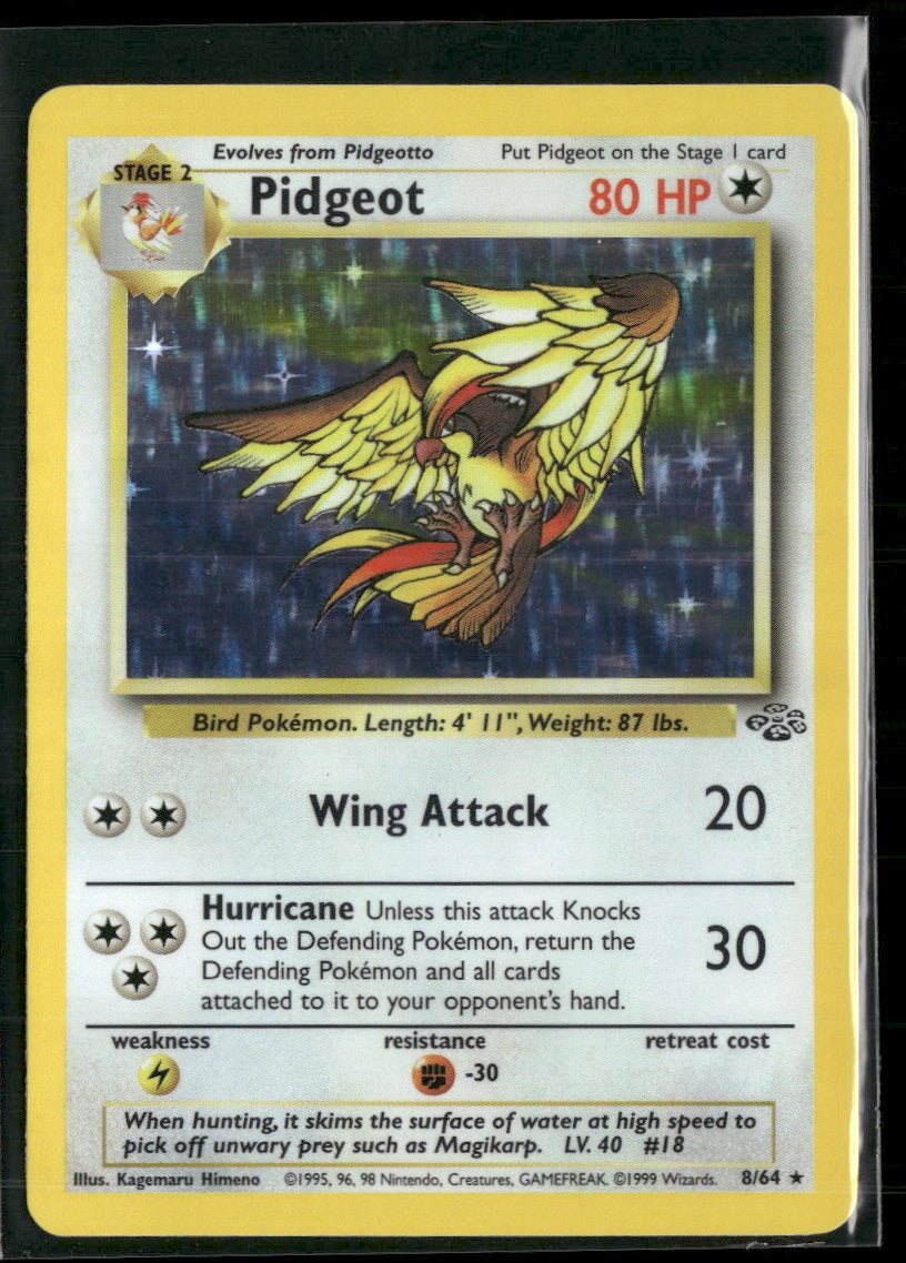 Jungle Pidgeot (8) #08/64