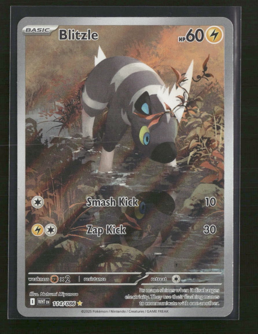 SV: White Flare Blitzle #114/086