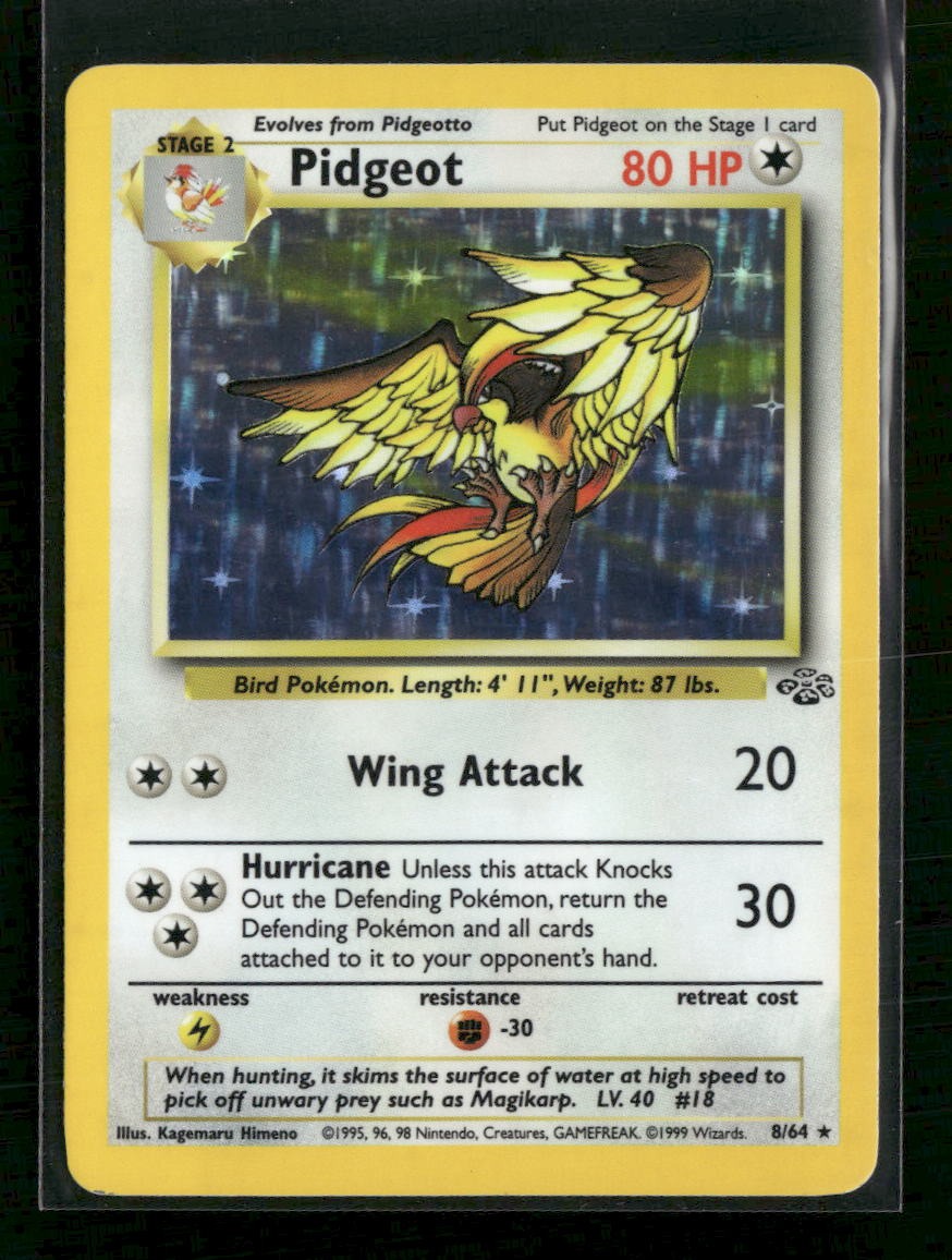 Jungle Pidgeot (8) #08/64