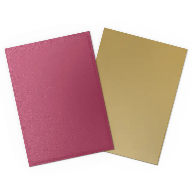 Dragon Shield Matte Dual Sleeves - Pomegranate & Gold (100-Pack)
