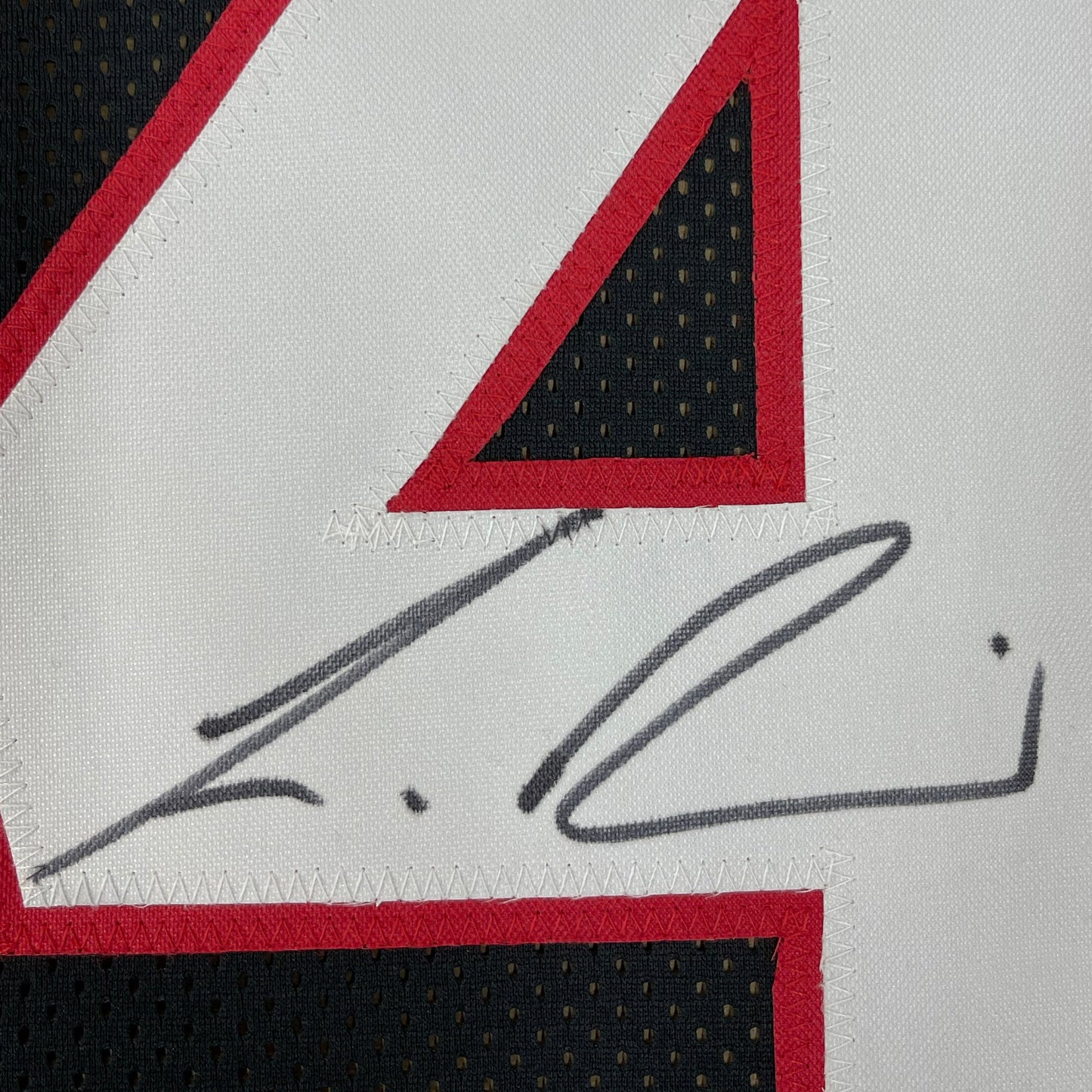 Framed Autographed/Signed Lavonte David 35x39 Tampa Bay Black Football Jersey JSA COA