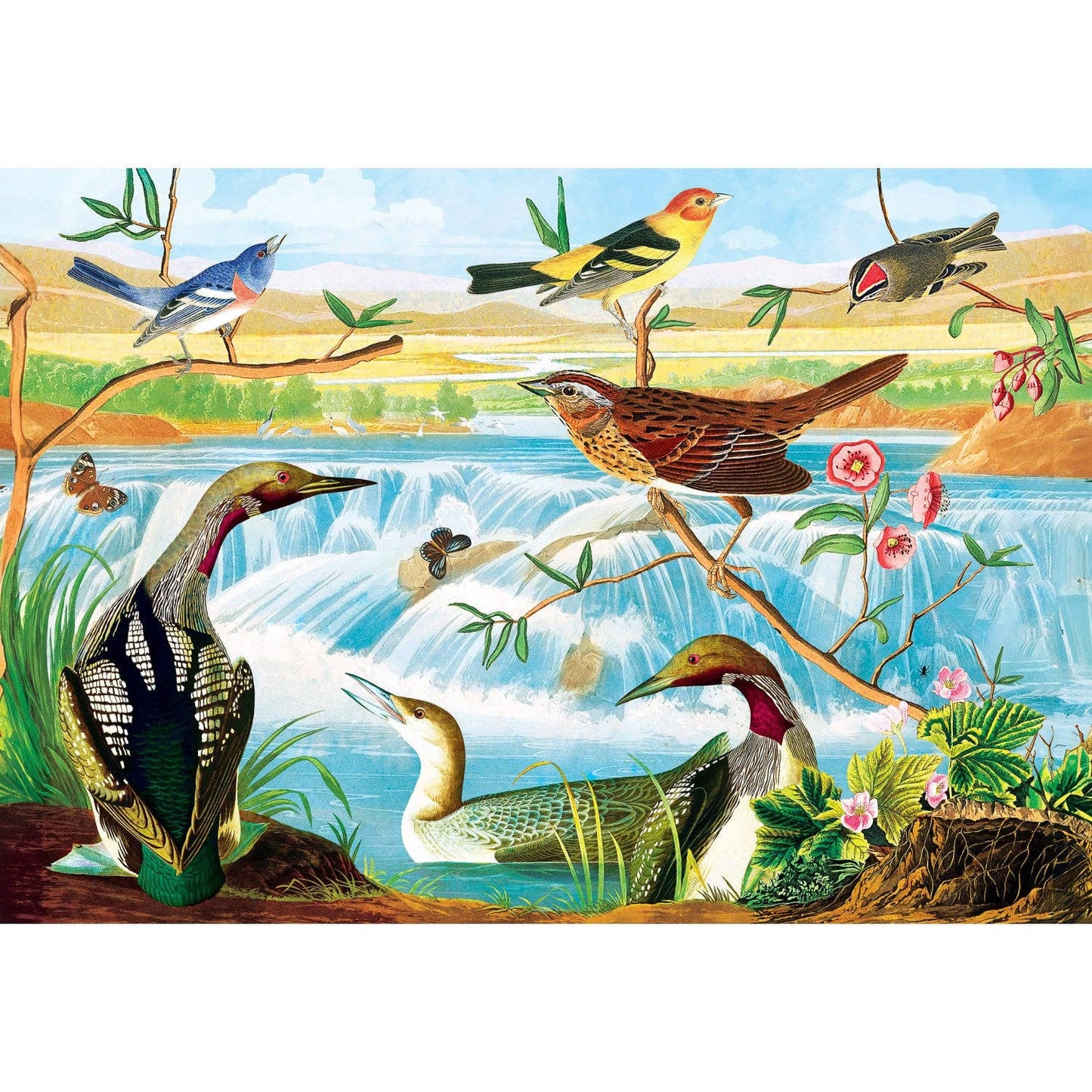Audubon 2000 Piece Jigsaw Puzzle - Signature Collection | Masterpieces
