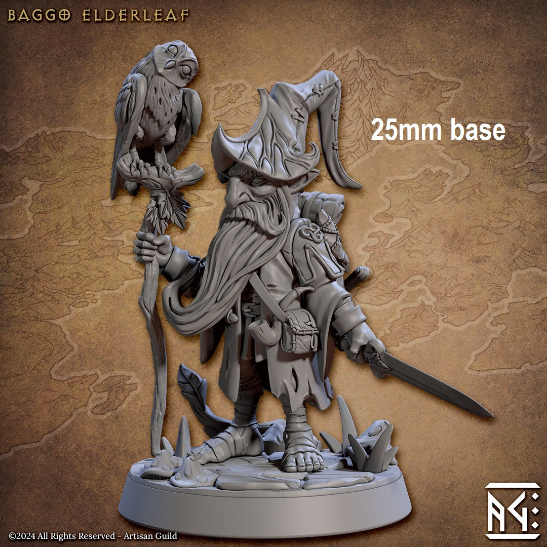 Baggo Elderleaf (Male Gnome Wizard)