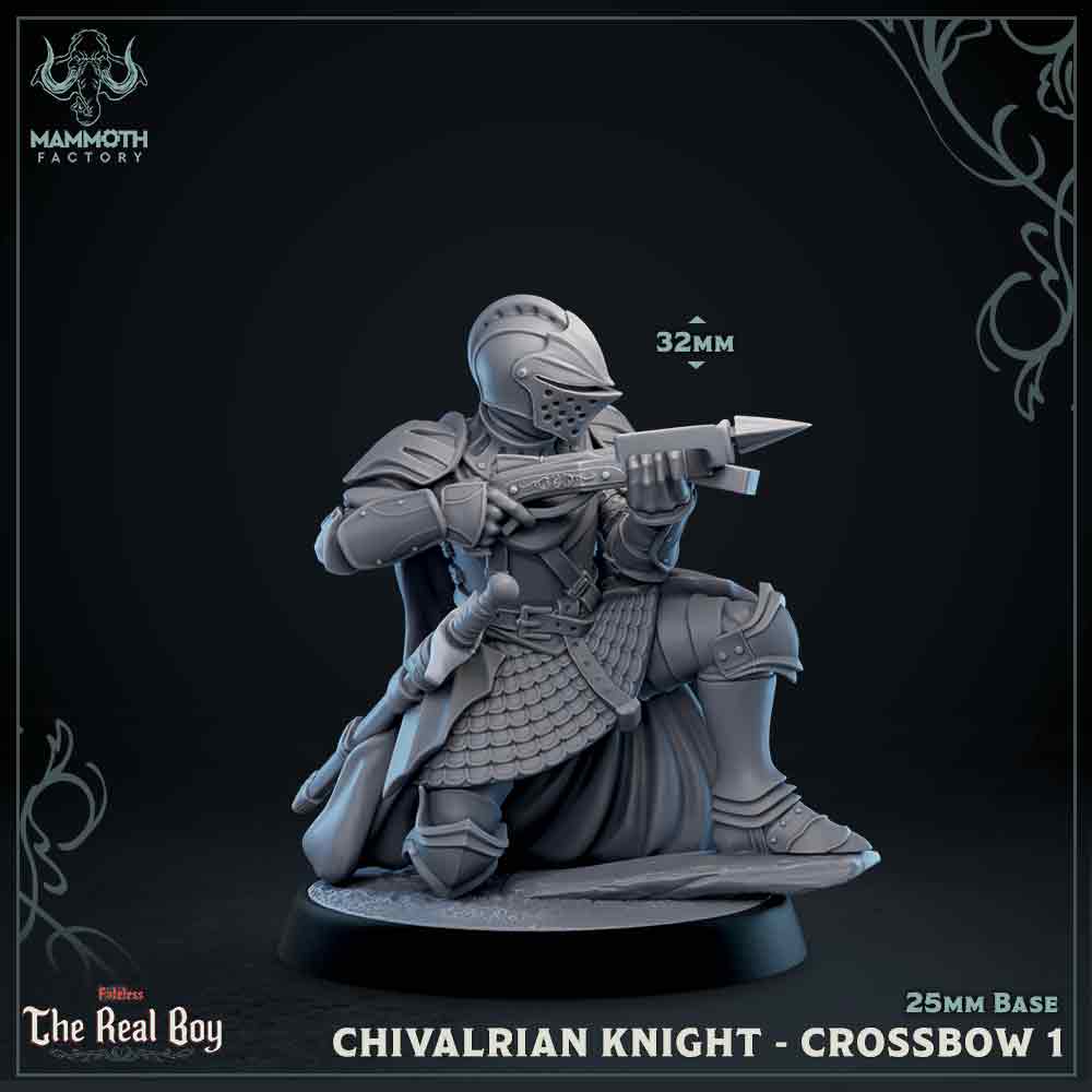 Chivalrian Knight with Crossbow 1 (Paladin)