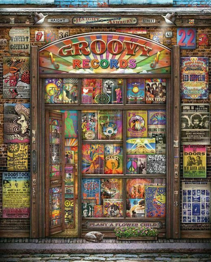 Groovy Records 1000 Piece Jigsaw Puzzle by Springbok Puzzles