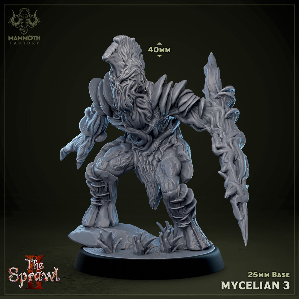 Mycelian 3 (Myconid Warrior)