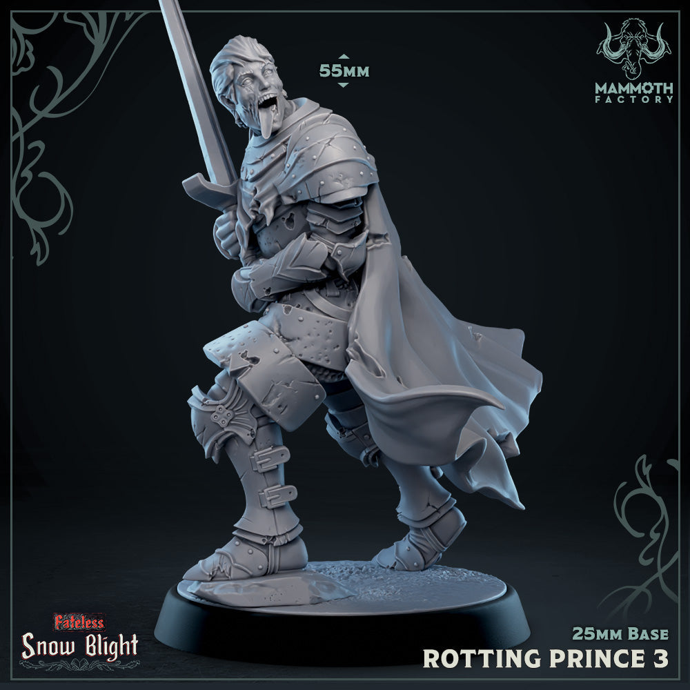 Rotting Prince 3 (Male Undead Human Noble)