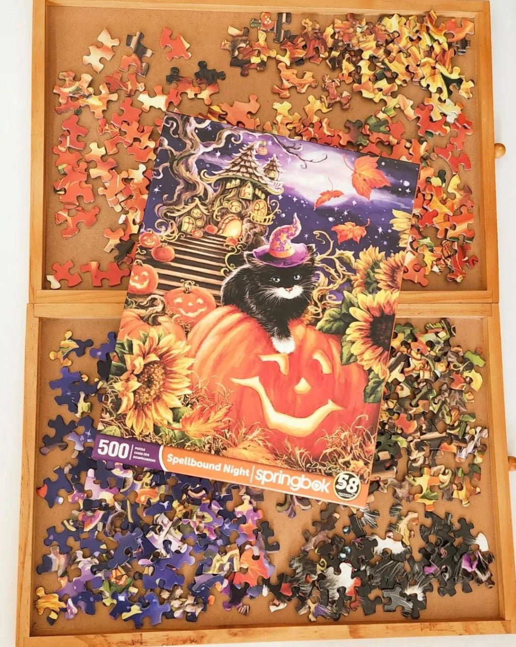 Spellbound Night 500 Piece Jigsaw Puzzle | Springbok Puzzles
