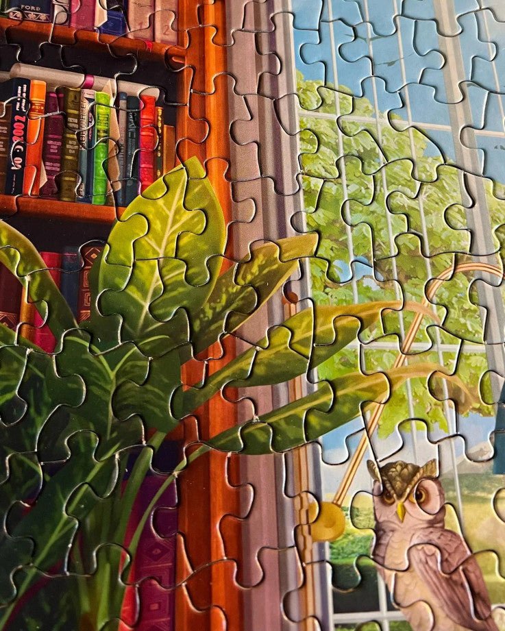 The Library 1000 Piece Jigsaw Puzzle by Springbok Puzzles