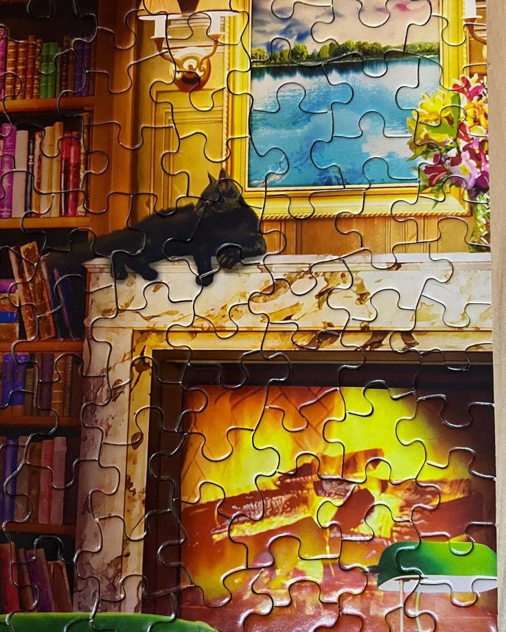 The Library 1000 Piece Jigsaw Puzzle by Springbok Puzzles