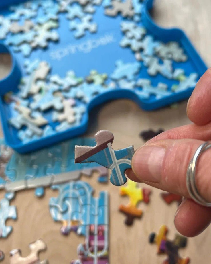 The Library 1000 Piece Jigsaw Puzzle by Springbok Puzzles