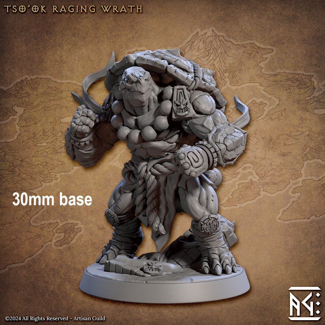 Tso'ok Raging Wrath (Male Turtlekin Monk)