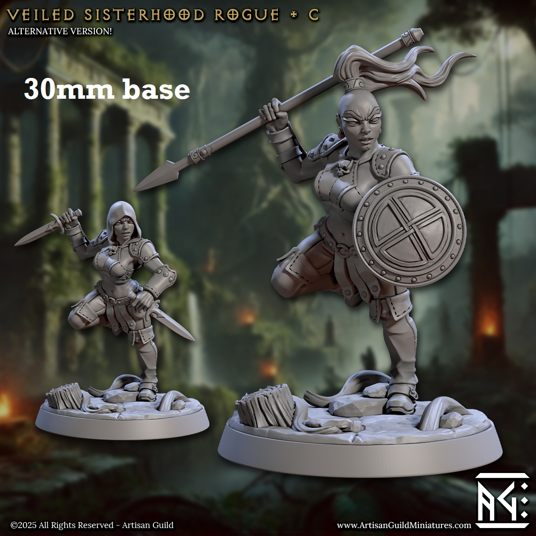 Veiled Sisterhood Rogue: Sculpt C (Female Human Fighter / Assassin)